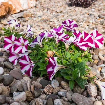 I Trulli Dei Desideri 3* Alberobello