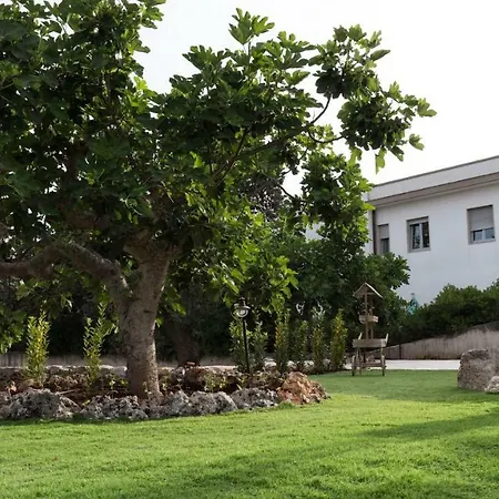 I Trulli Dei Desideri Bed & Breakfast Alberobello