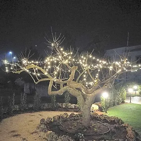 Bed & Breakfast I Trulli Dei Desideri