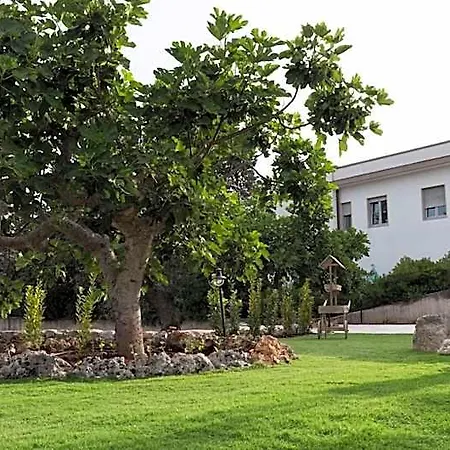 I Trulli Dei Desideri Bed & Breakfast Alberobello