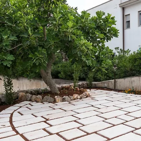 Alojamento de Acomodação e Pequeno-almoço I Trulli Dei Desideri Alberobello