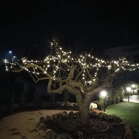 I Trulli Dei Desideri Alojamento de Acomodação e Pequeno-almoço 3*