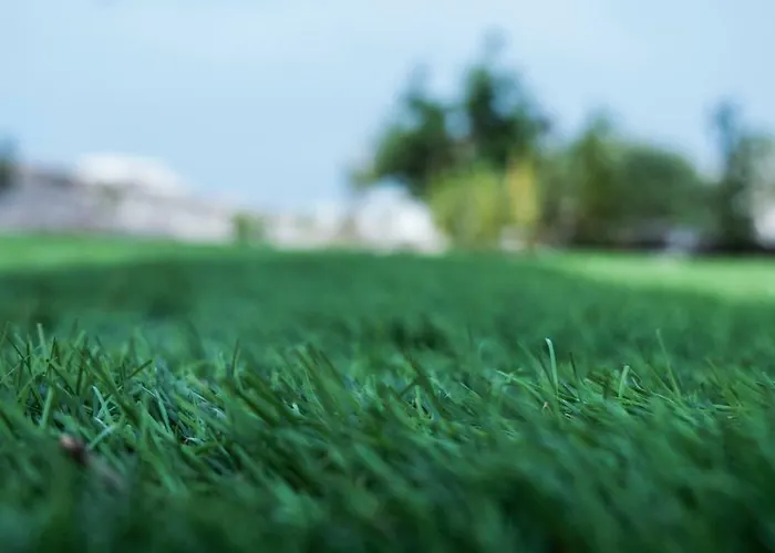 I Trulli Dei Desideri 3*